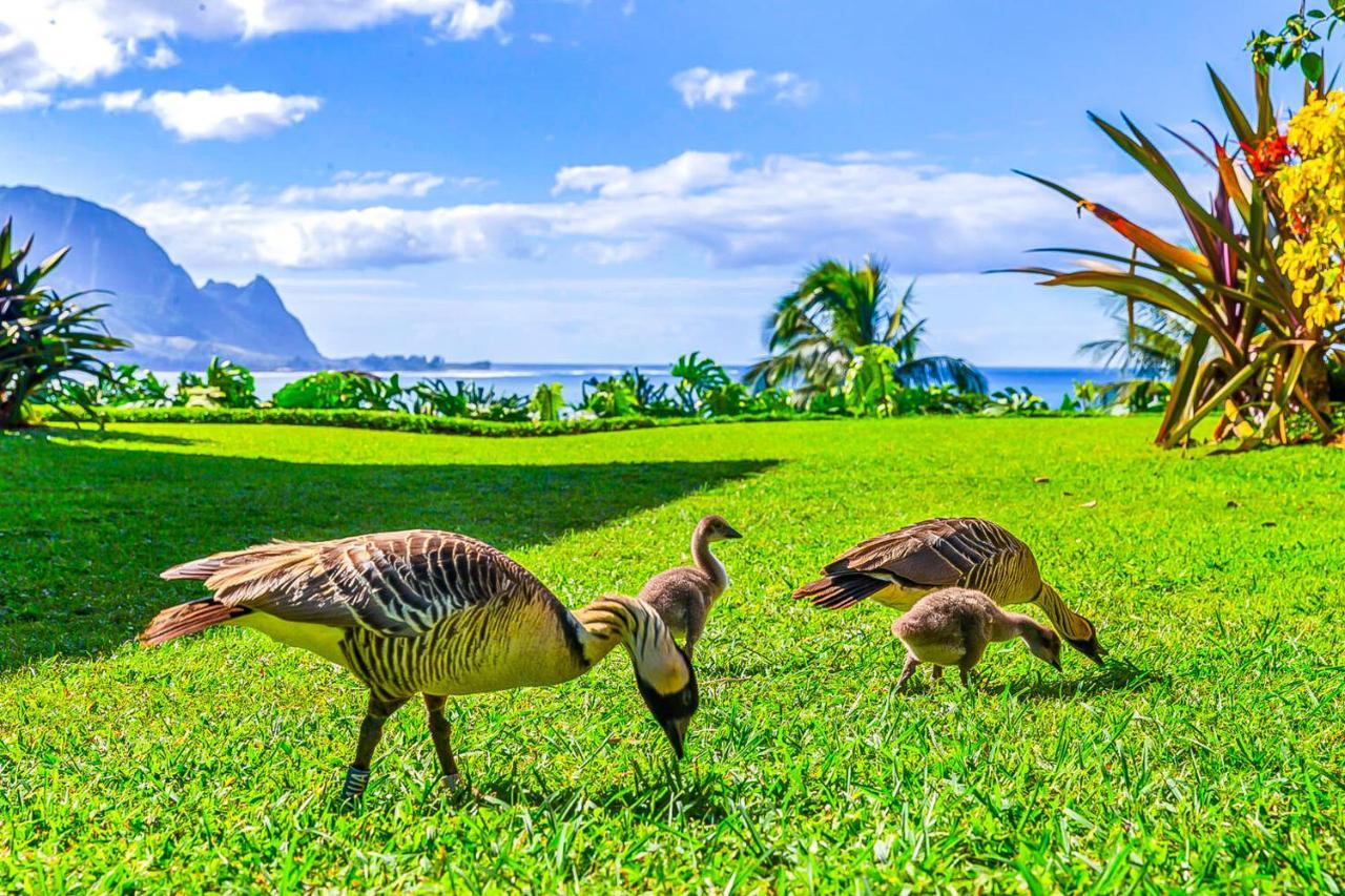 Appartamento Pali Ke Kua #4 Princeville